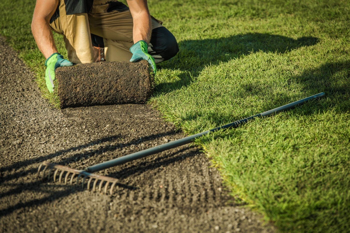 professional landscaper laying turf